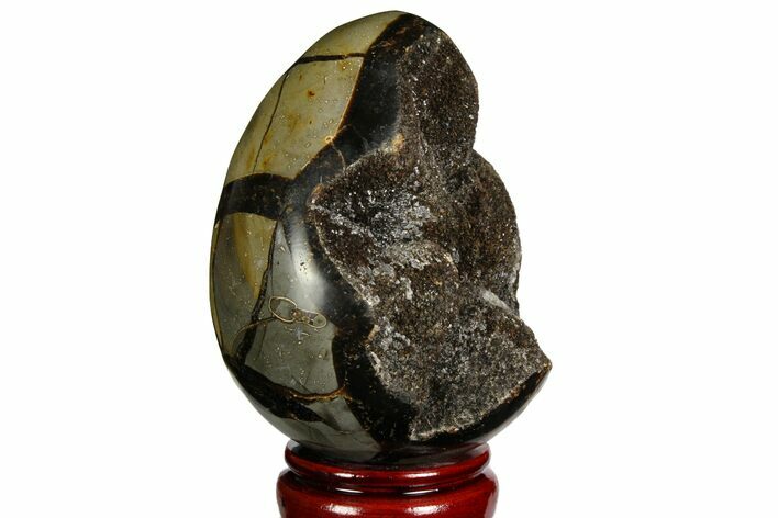 Septarian Dragon Egg Geode - Black Crystals #143154